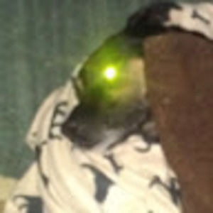 Meet your Posher, 3x7